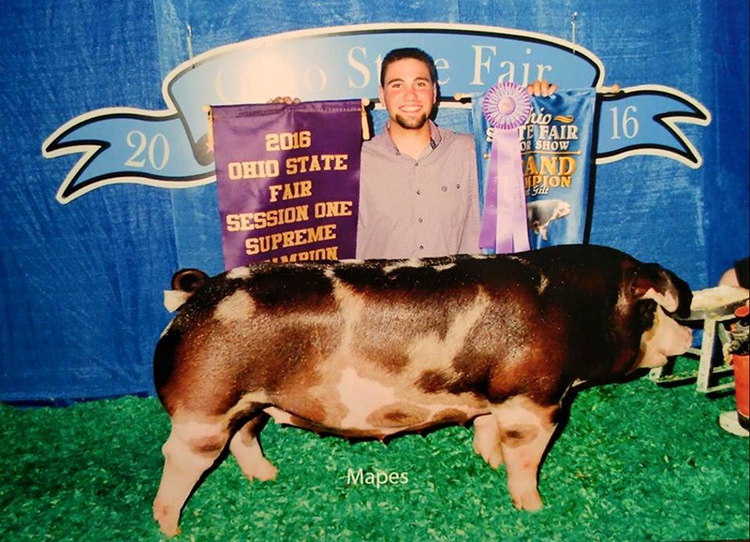 Breeder's Choice Tony and Dicka Nye