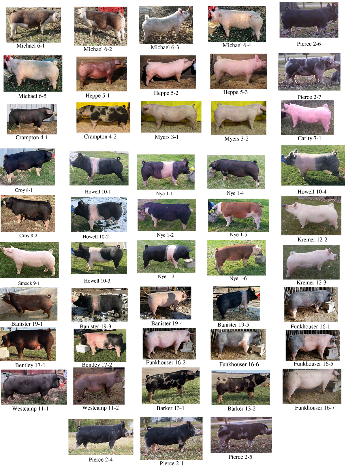 Breeder's Choice Tony and Dicka Nye